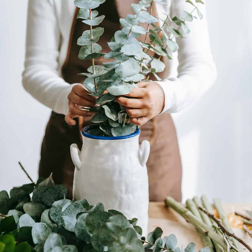 plant-in-vase